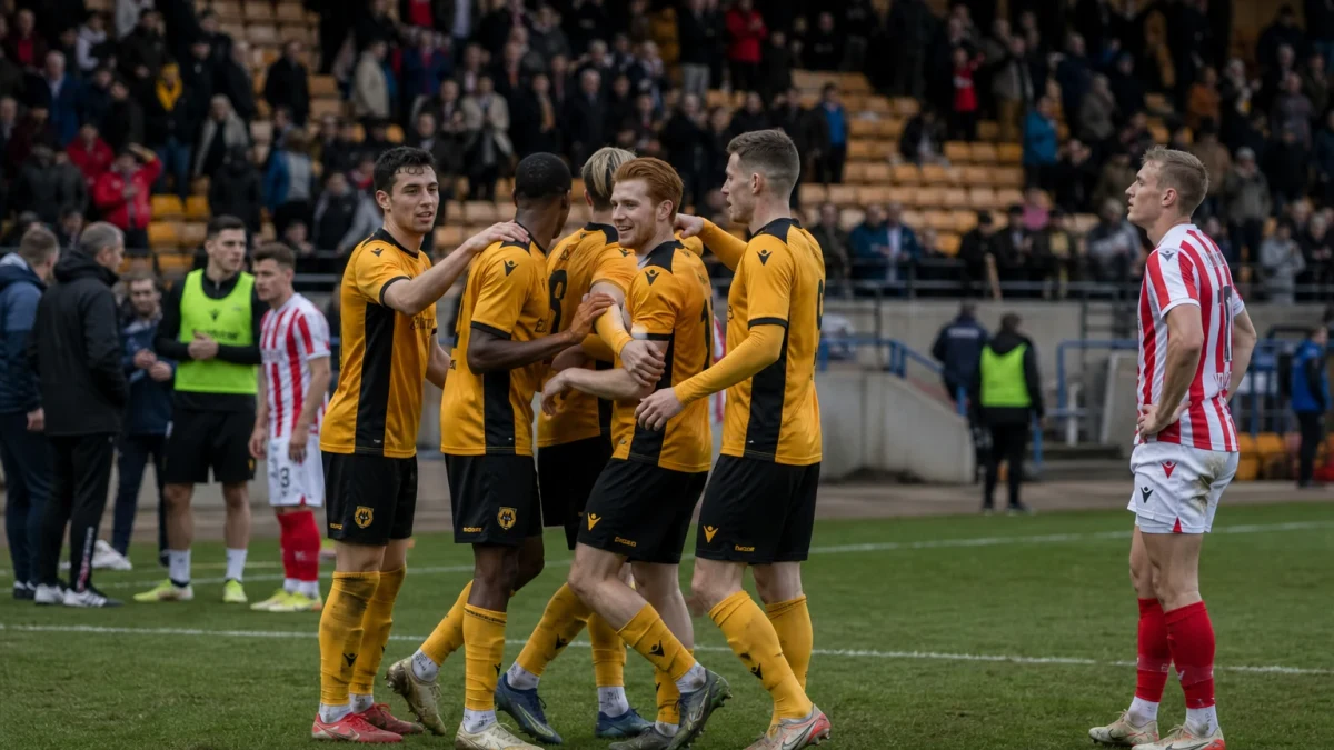 Wolves körde över Stoke City och tog klivet upp som tvåa